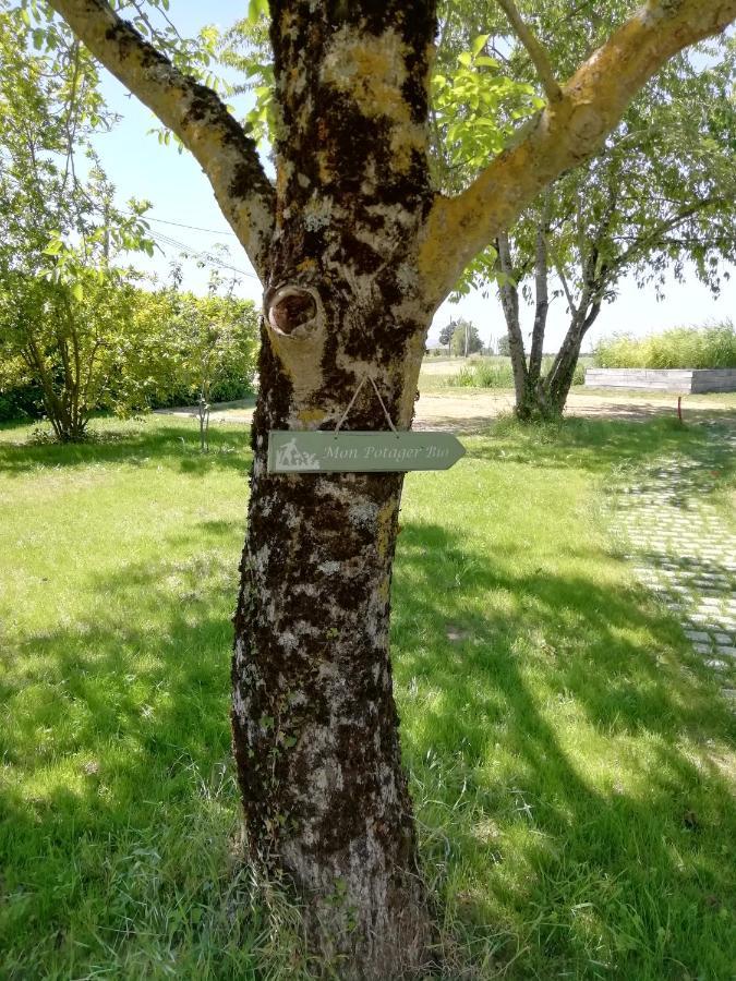 La Planche Princée, Chambres d'hôtes écolo et Potager bio, Sauna Les Rosiers Exterior foto