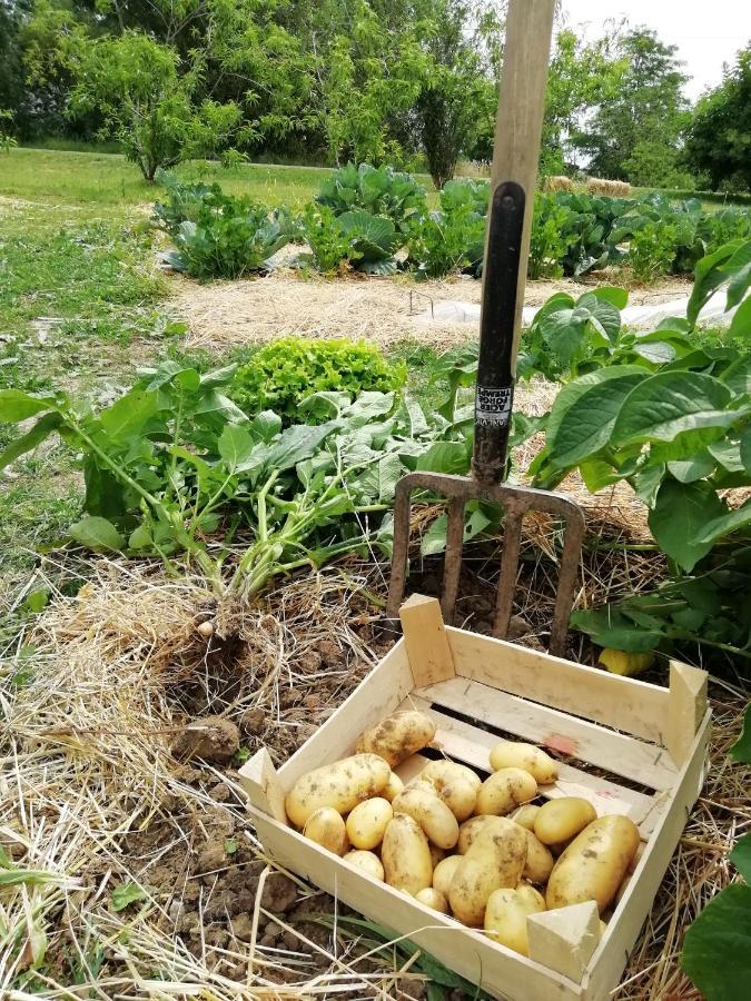 La Planche Princée, Chambres d'hôtes écolo et Potager bio, Sauna Les Rosiers Exterior foto