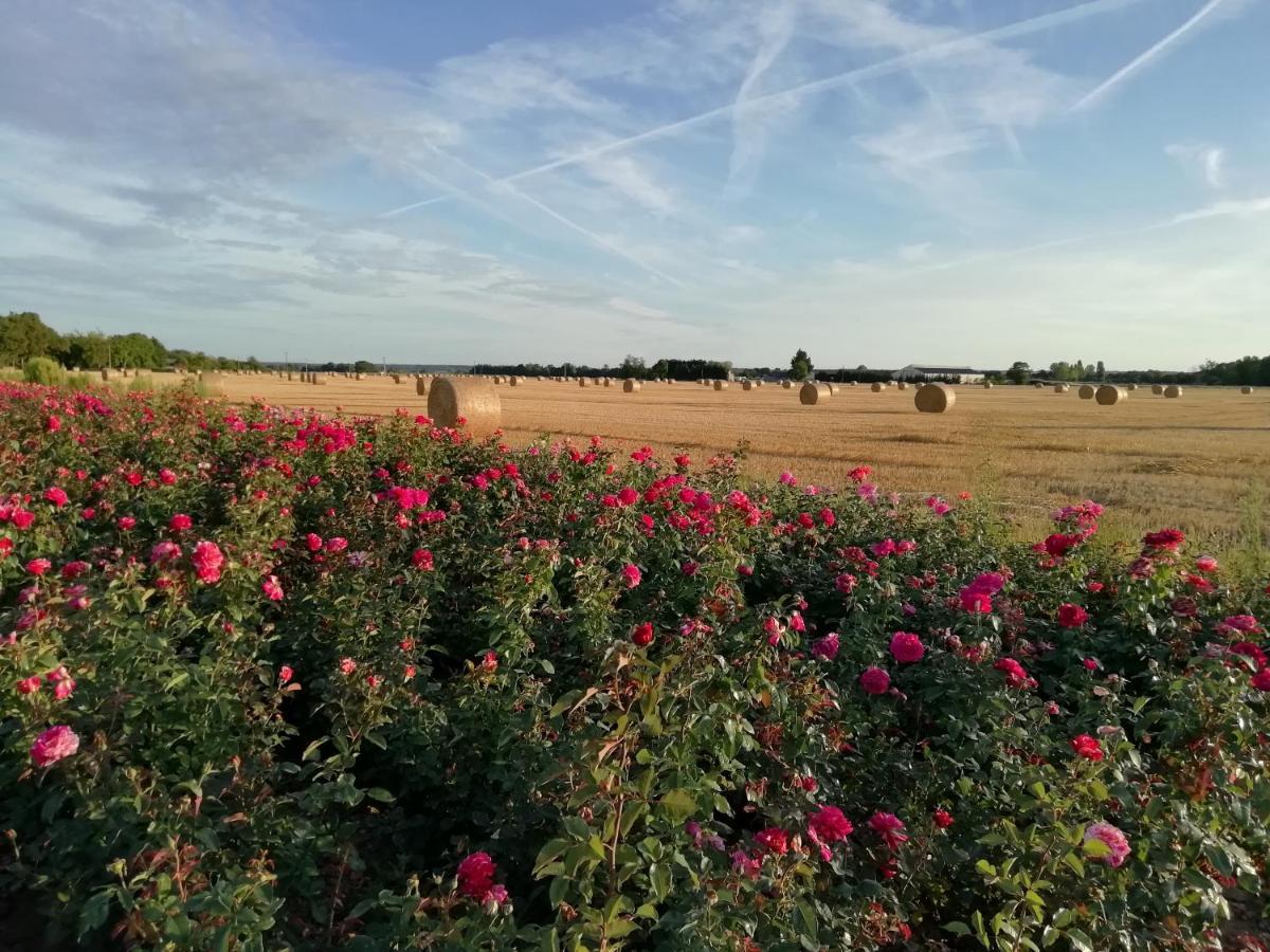 La Planche Princée, Chambres d'hôtes écolo et Potager bio, Sauna Les Rosiers Exterior foto